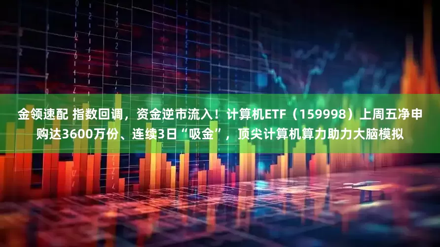 金领速配 指数回调，资金逆市流入！计算机ETF（159998）上周五净申购达3600万份、连续3日“吸金”，顶尖计算机算力助力大脑模拟